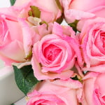 28cm Real-Touch 7 Heads Sofia Rose Bundle