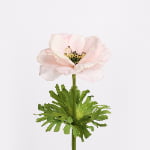 52cm Real-Touch Anemone Stem