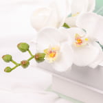 50cm Real-Touch Phalaenopsis Stem