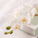 76cm Real-Touch Phalaenopsis Stem