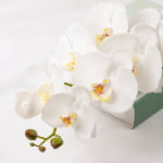 98cm Real-Touch Phalaenopsis Stem