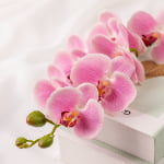 76cm Real-Touch Phalaenopsis Stem