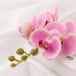 50cm Real-Touch Phalaenopsis Stem