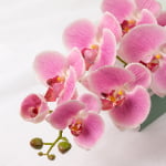 98cm Real-Touch Phalaenopsis Stem