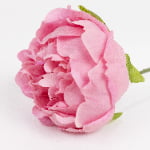 60cm Real-Touch Lydia Peony Stem