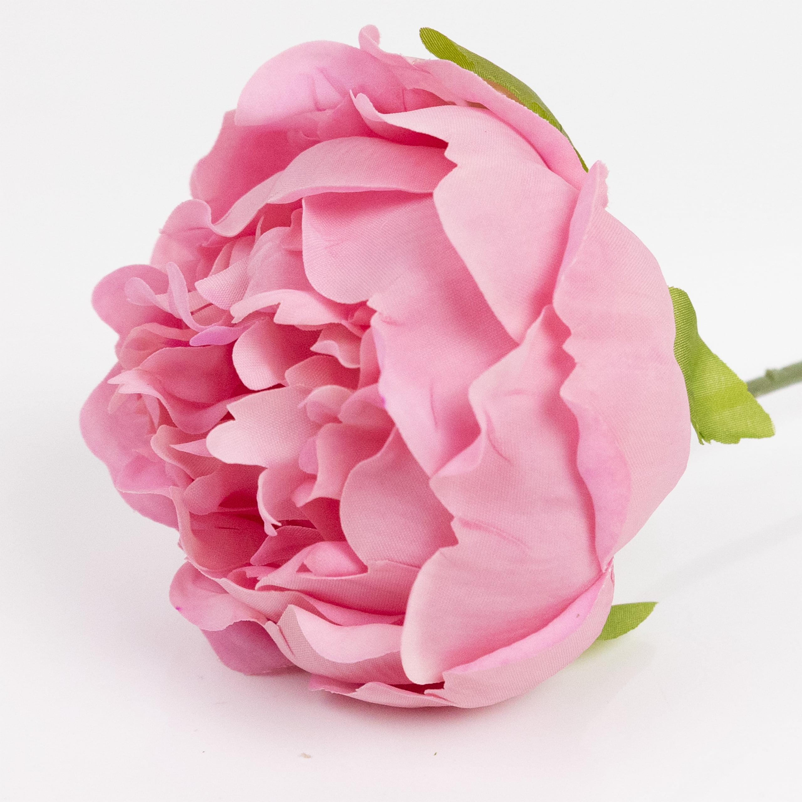 60cm Real-Touch Lydia Peony Stem