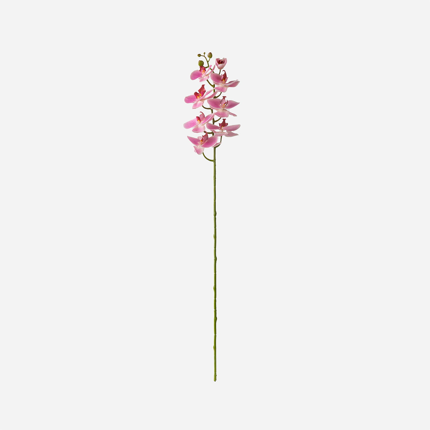 98cm Real-Touch Phalaenopsis Stem