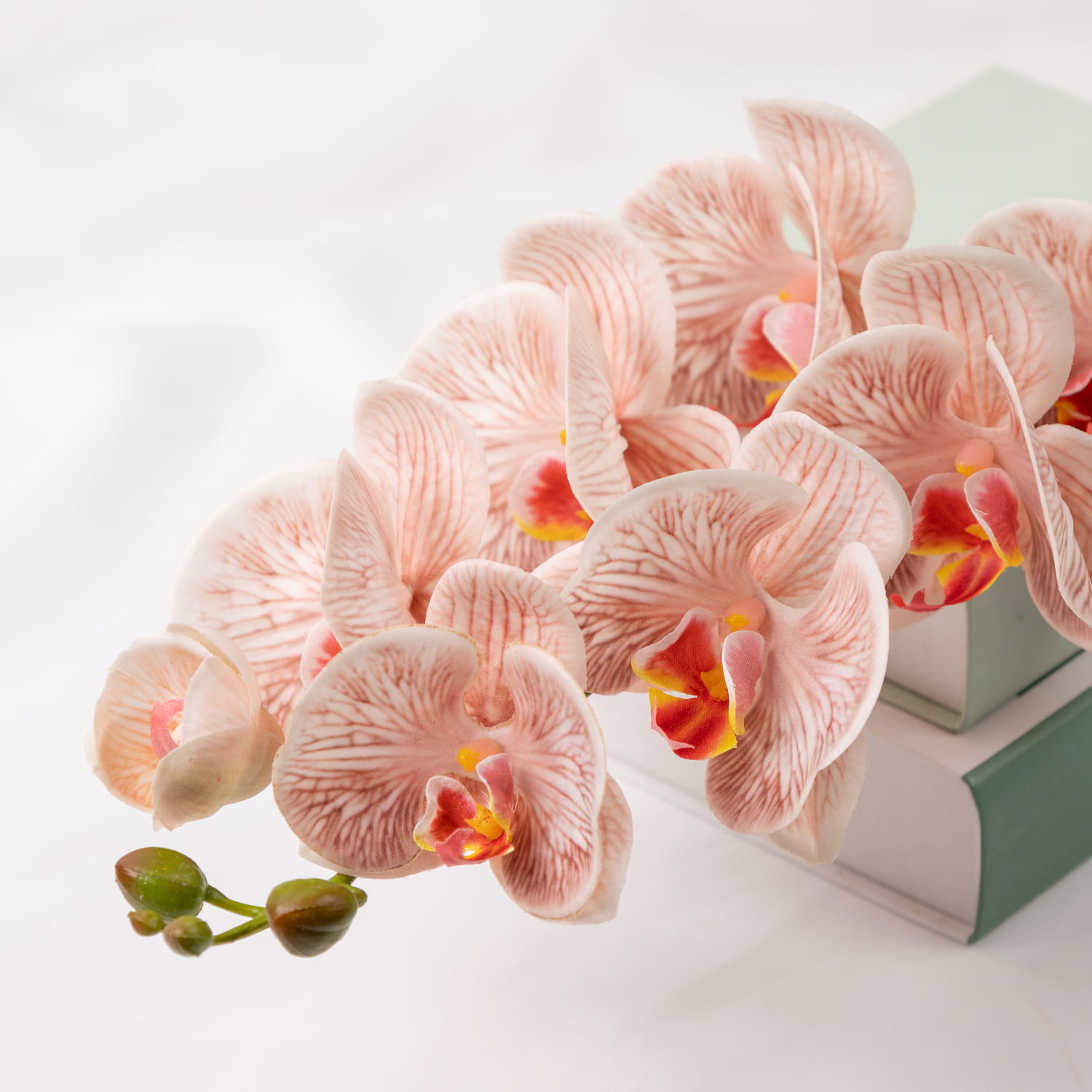 98cm Real-Touch Phalaenopsis Stem