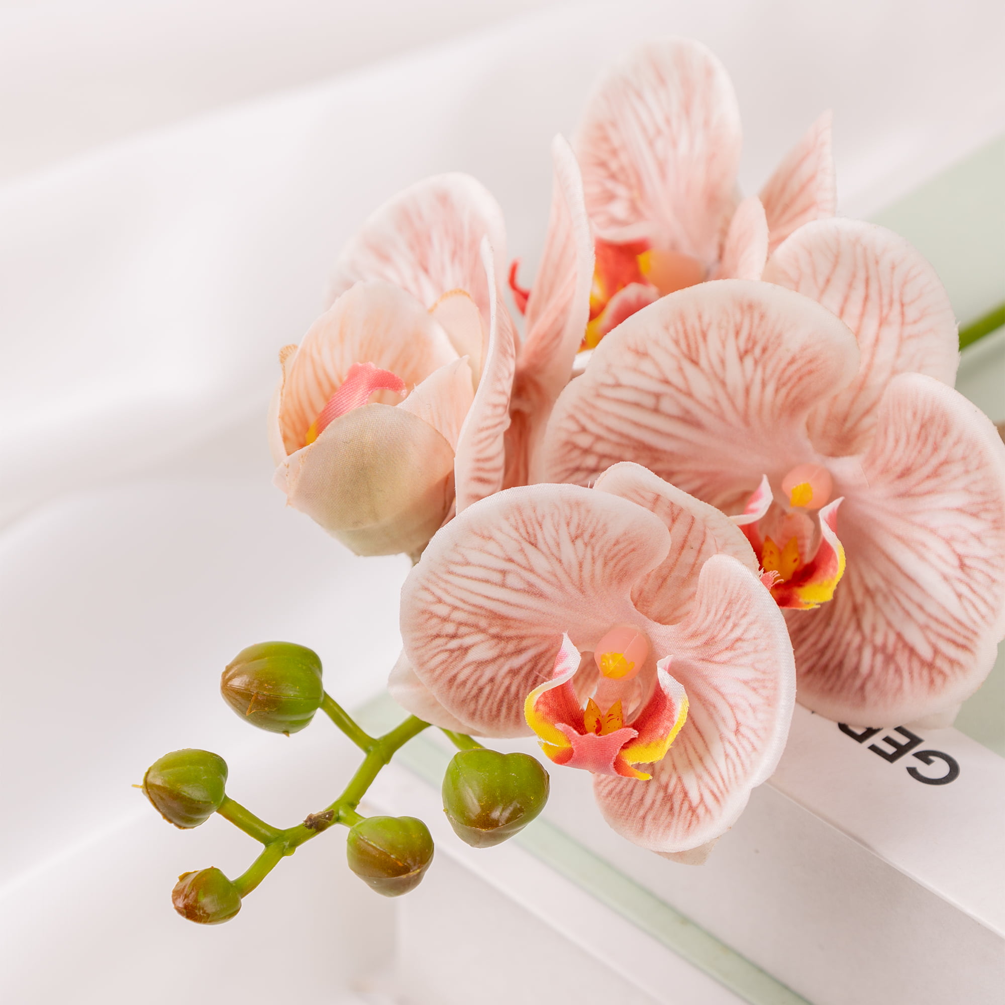 50cm Real-Touch Phalaenopsis Stem