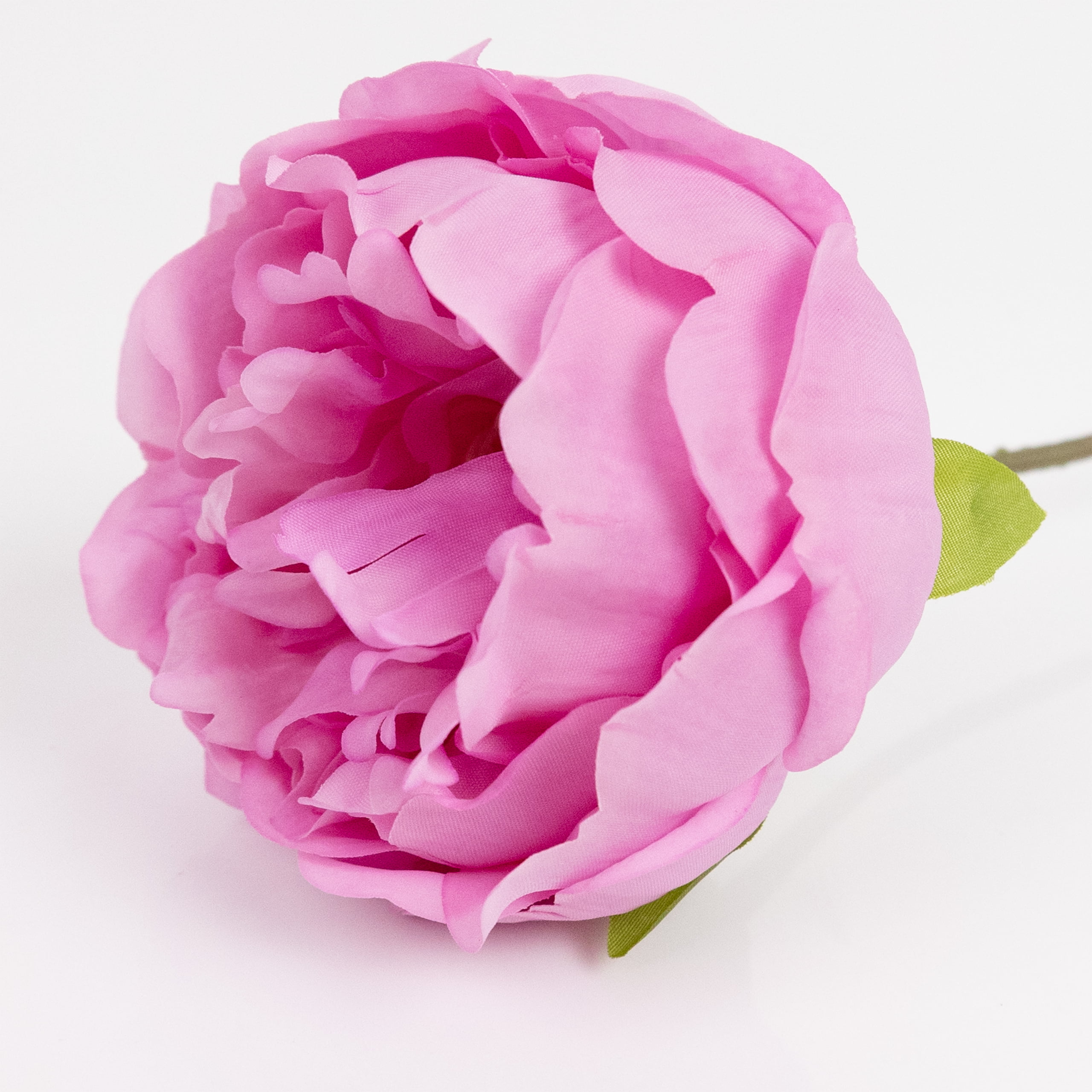 60cm Real-Touch Lydia Peony Stem