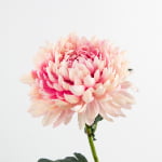 74cm Real-Touch Chrysanthemum Stem
