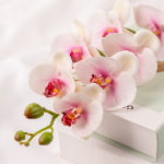 76cm Real-Touch Phalaenopsis Stem