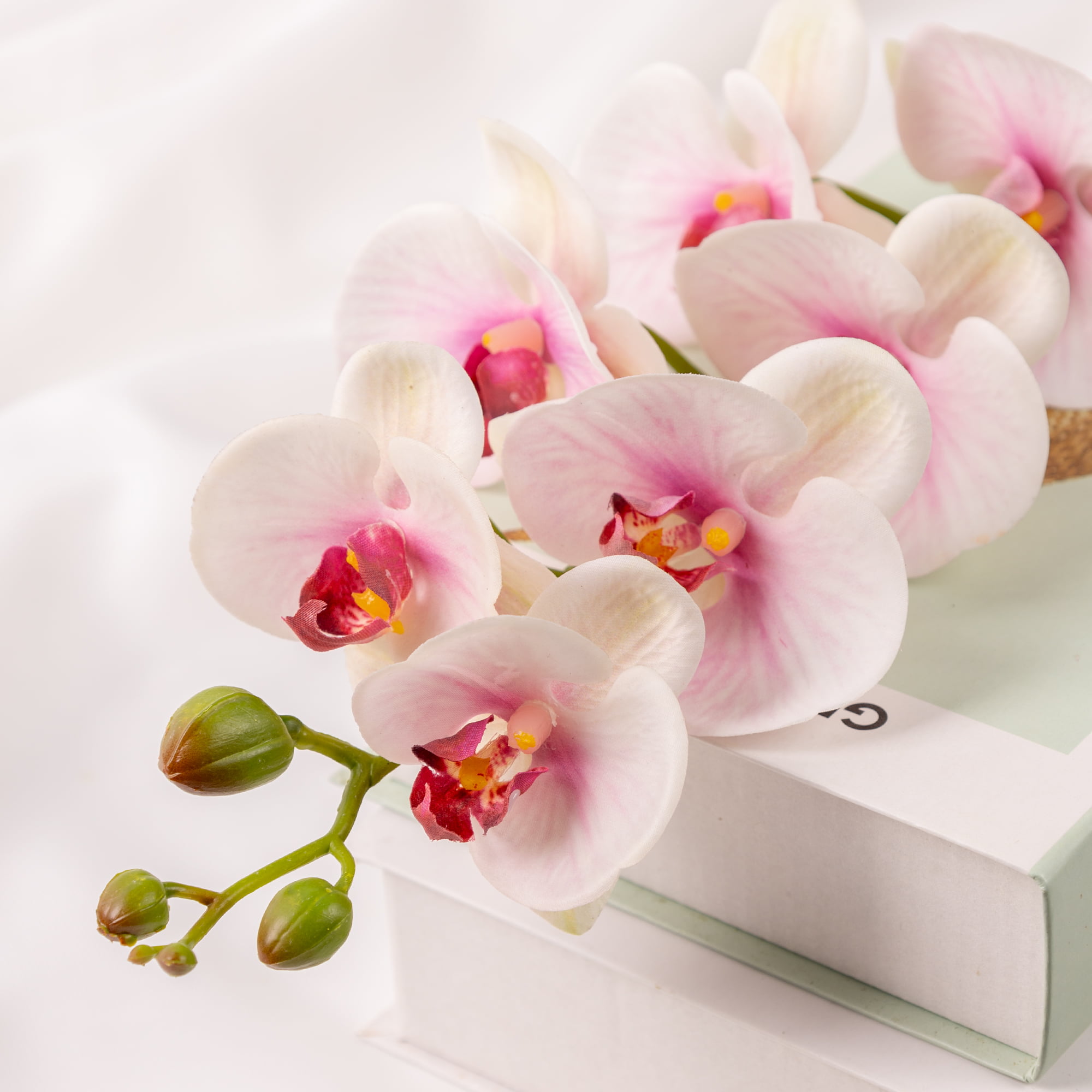 76cm Real-Touch Phalaenopsis Stem
