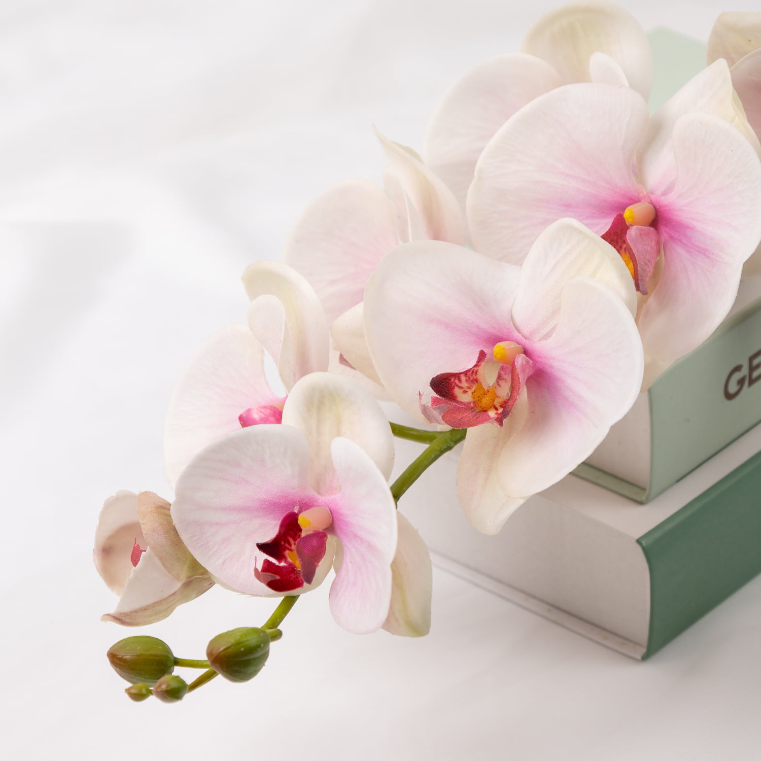 98cm Real-Touch Phalaenopsis Stem