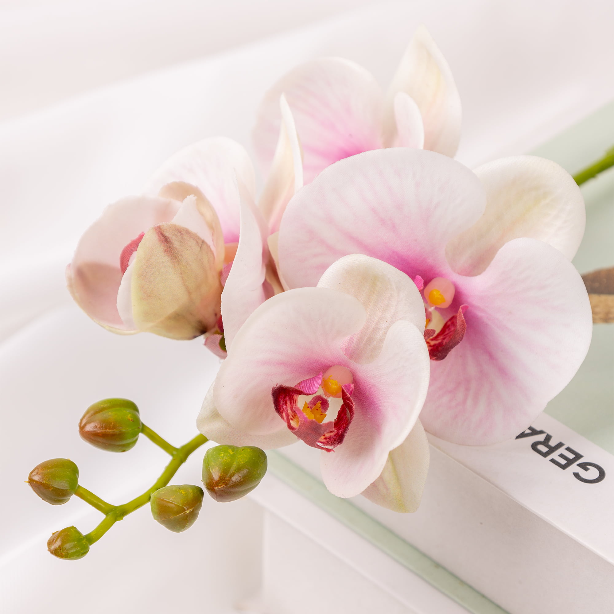 50cm Real-Touch Phalaenopsis Stem