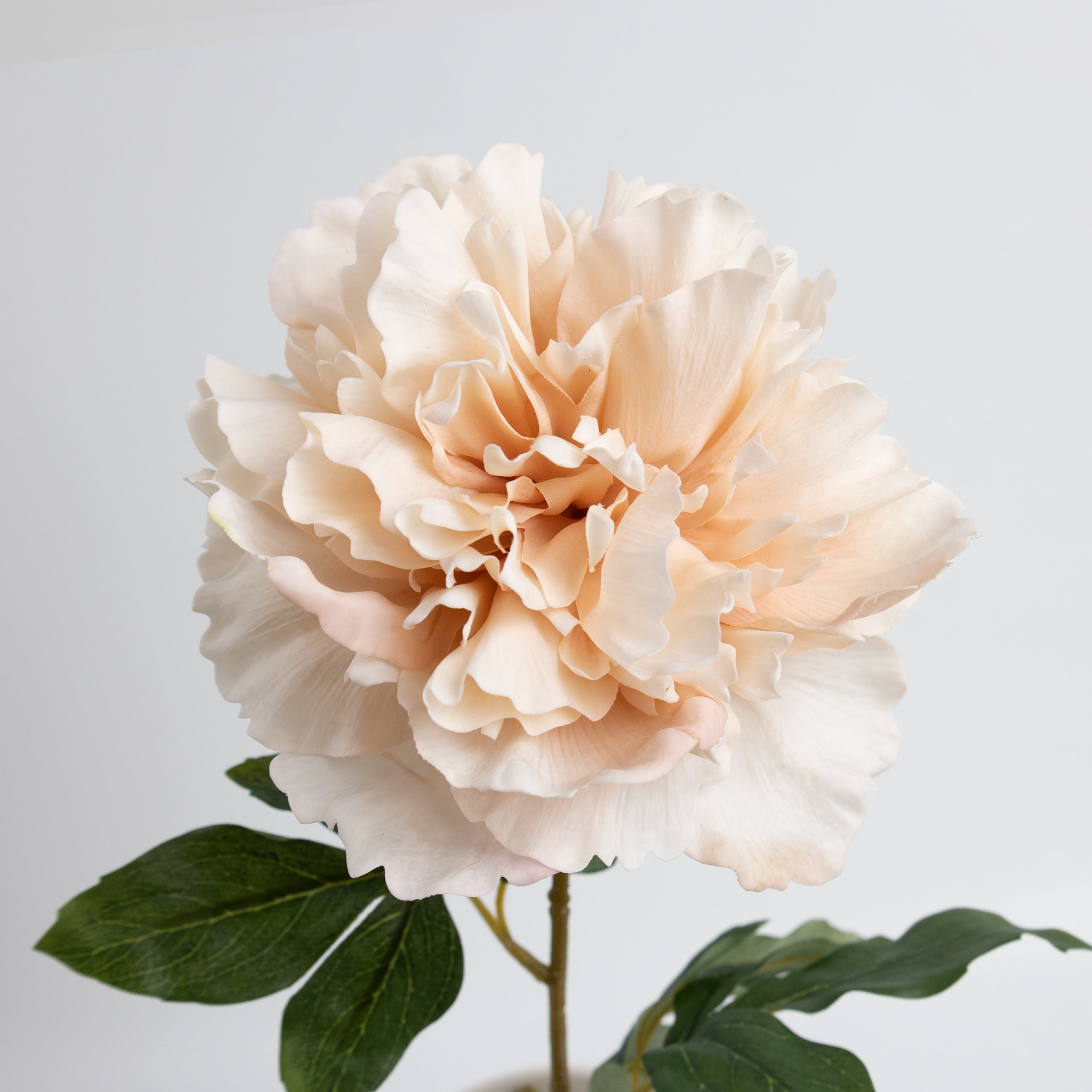 60cm Real-Touch Phoebe Peony Stem