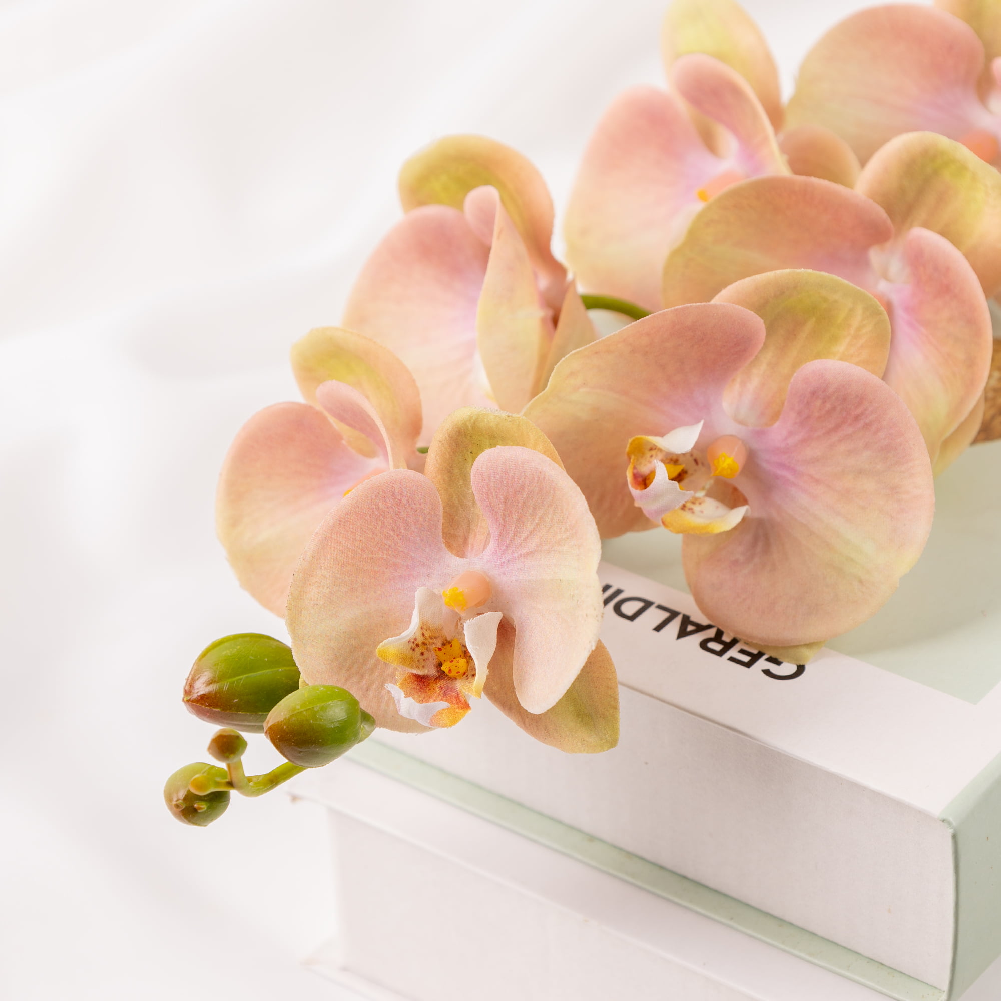 76cm Real-Touch Phalaenopsis Stem