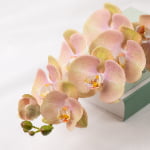 98cm Real-Touch Phalaenopsis Stem