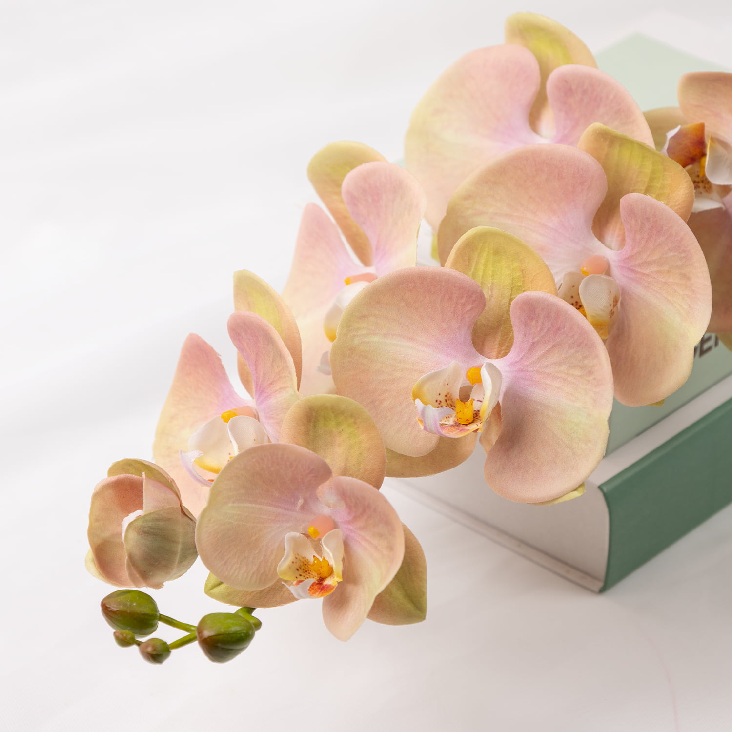 98cm Real-Touch Phalaenopsis Stem