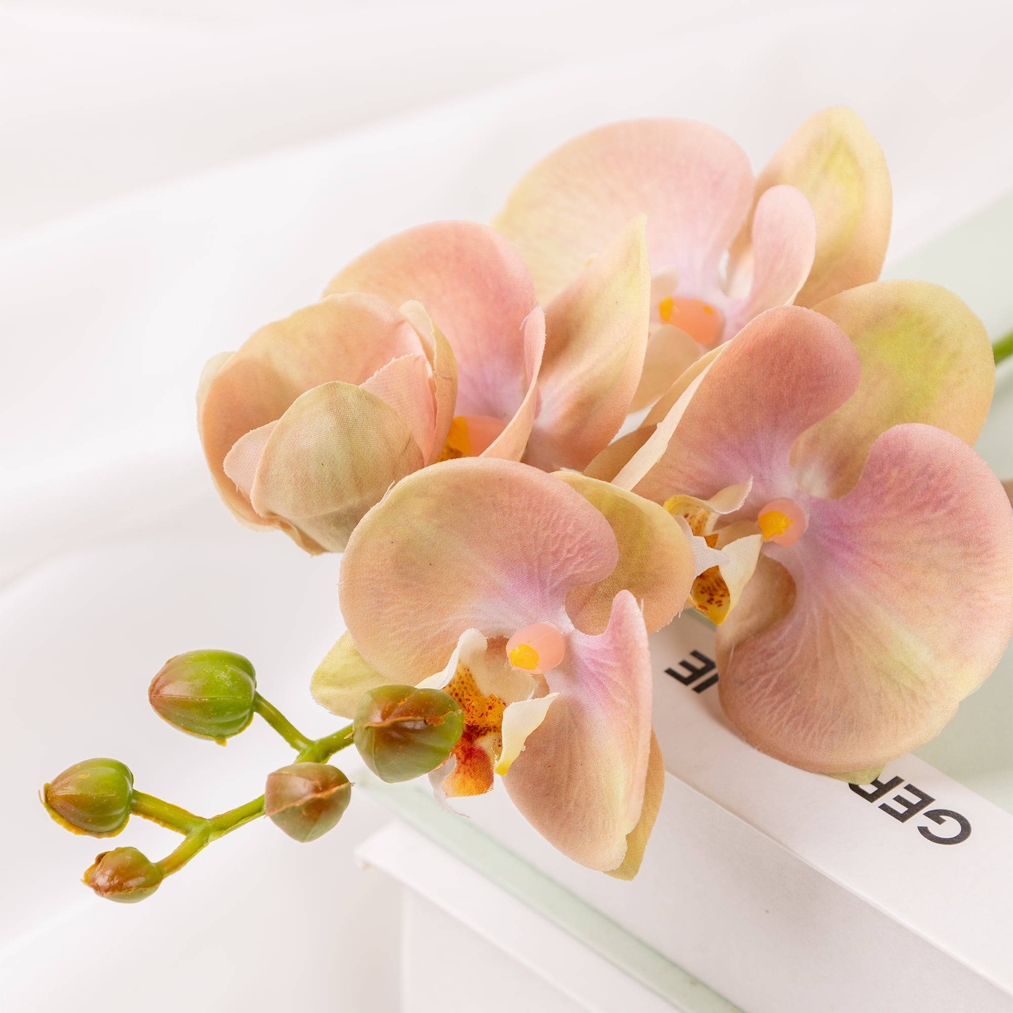 50cm Real-Touch Phalaenopsis Stem