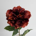 60cm Real-Touch Phoebe Peony Stem