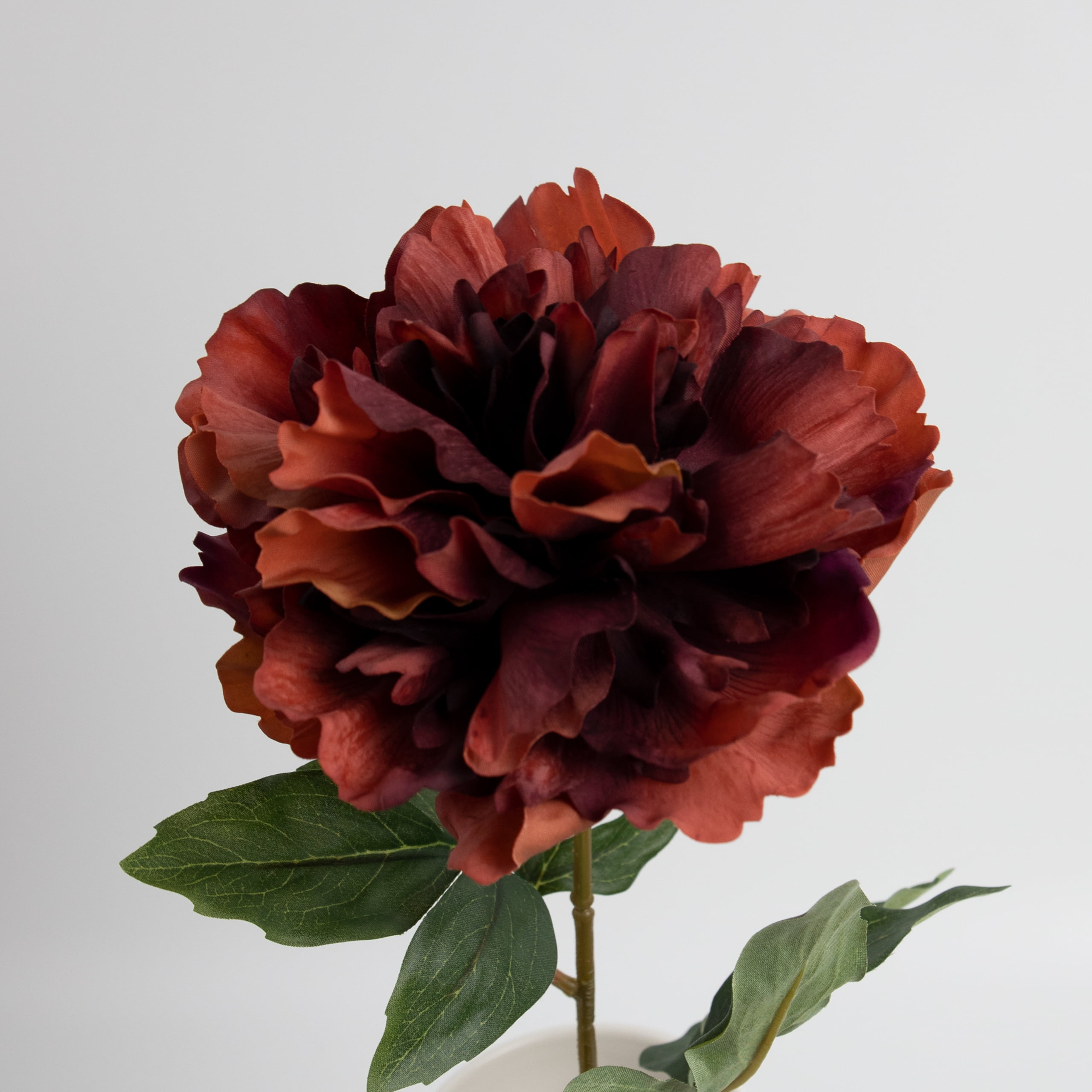 60cm Real-Touch Phoebe Peony Stem