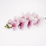 98cm Real-Touch Phalaenopsis Stem