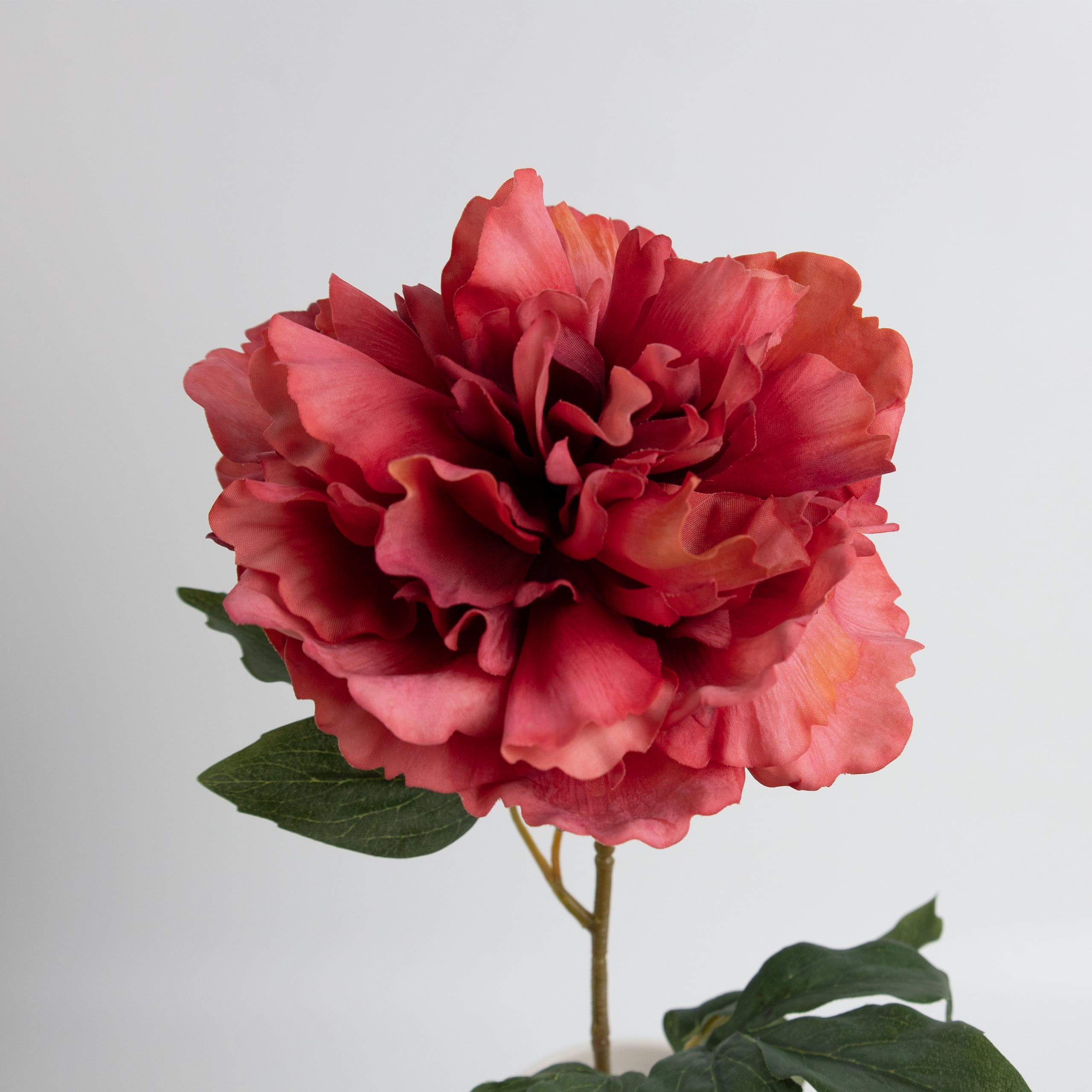 60cm Real-Touch Phoebe Peony Stem