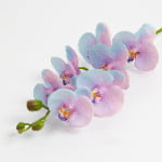 76cm Real-Touch Phalaenopsis Stem