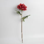 60cm Real-Touch Phoebe Peony Stem