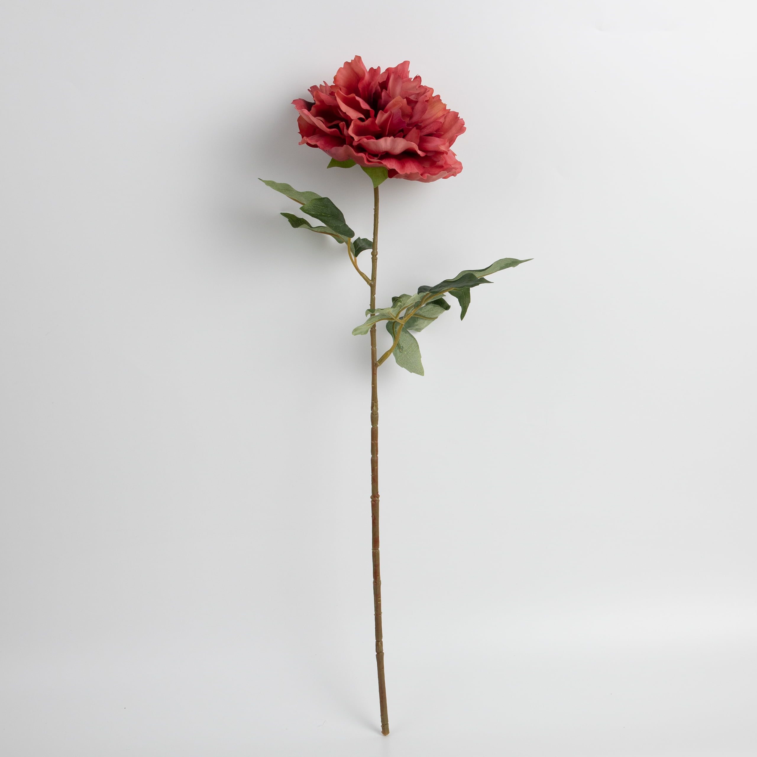 60cm Real-Touch Phoebe Peony Stem