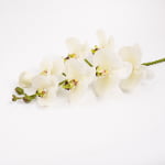 98cm Real-Touch Phalaenopsis Stem
