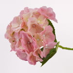 52cm Real-Touch Hydrangea Stem