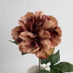 60cm Real-Touch Phoebe Peony Stem