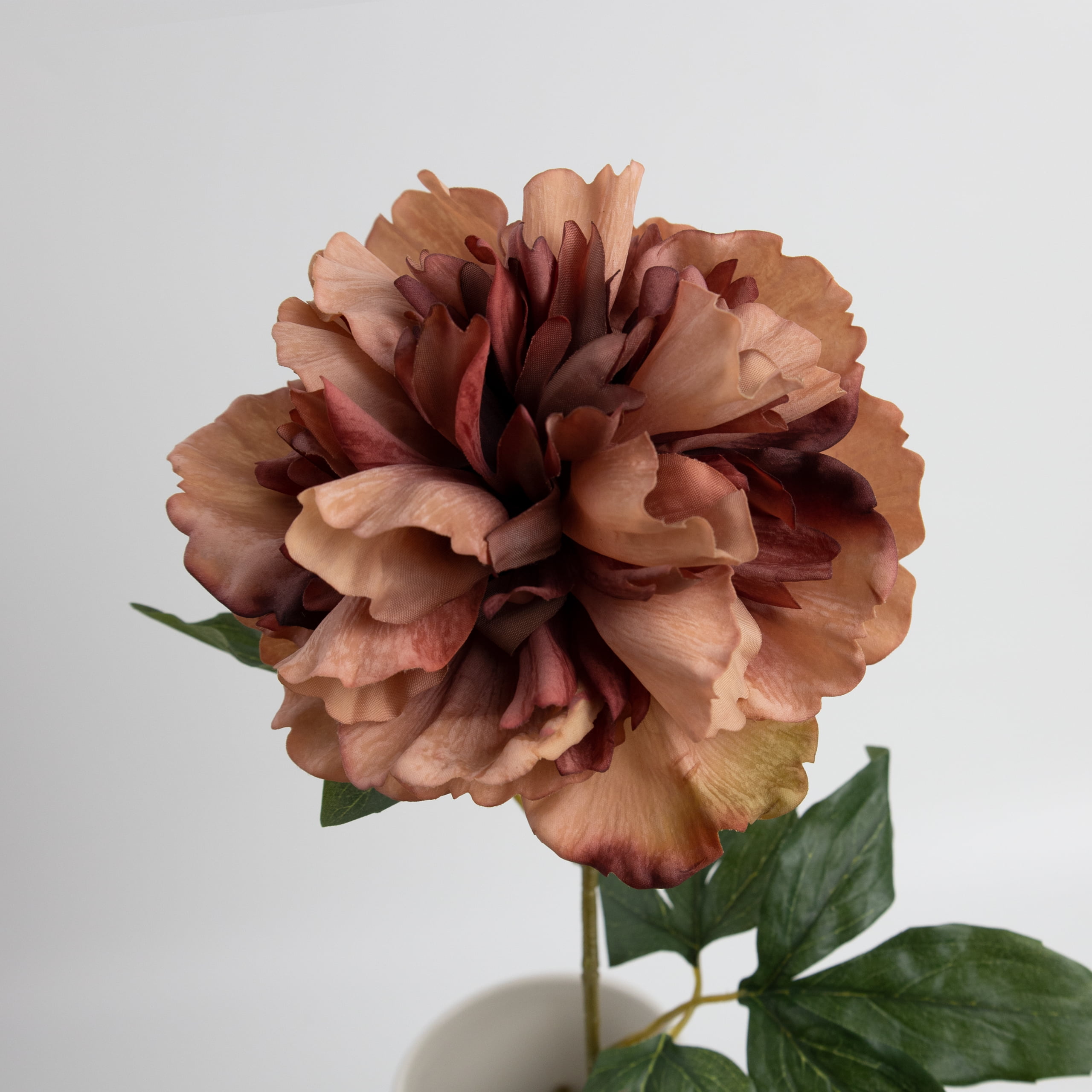 60cm Real-Touch Phoebe Peony Stem