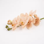 98cm Real-Touch Phalaenopsis Stem
