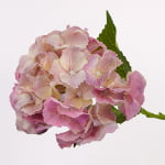 52cm Real-Touch Hydrangea Stem
