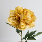 60cm Real-Touch Phoebe Peony Stem