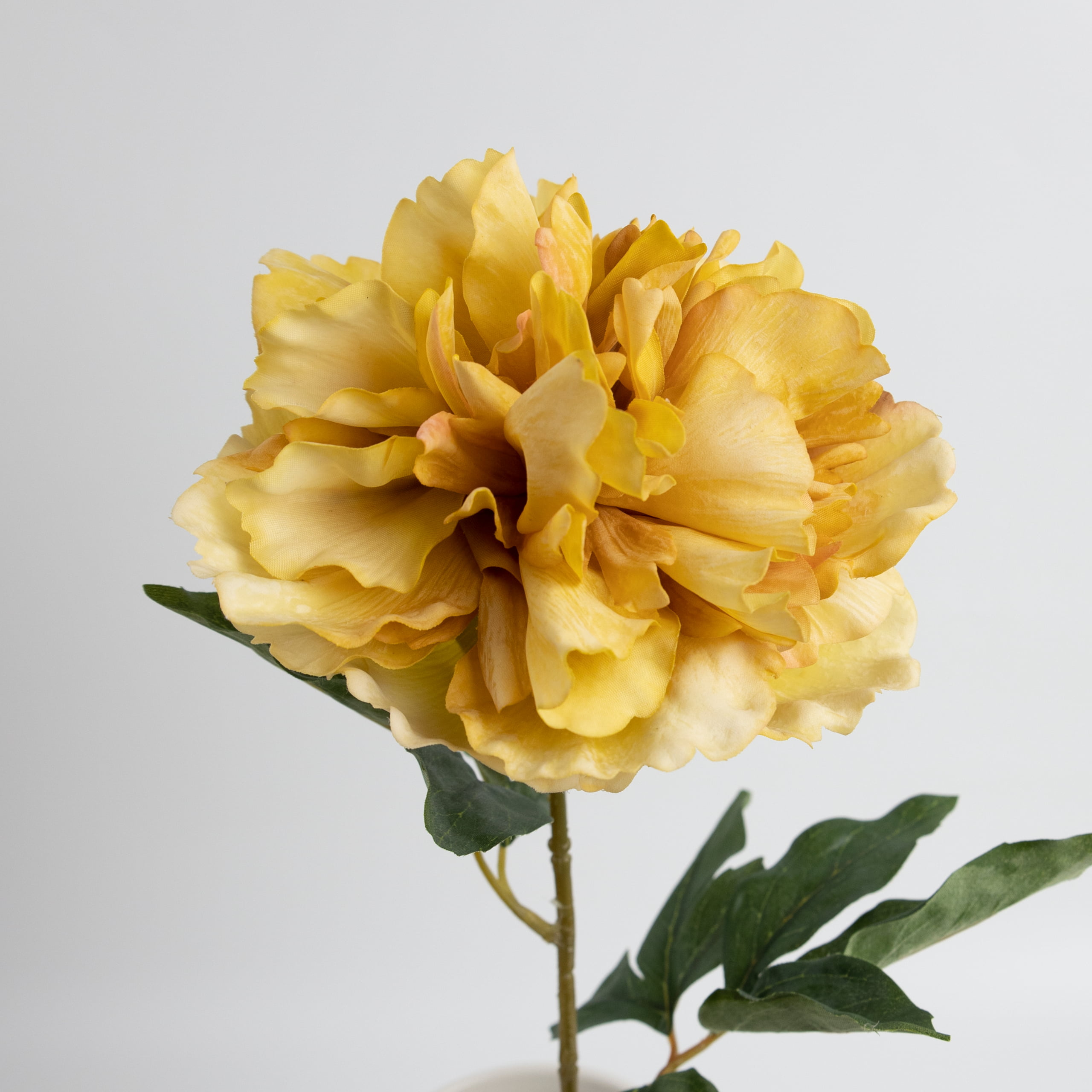 60cm Real-Touch Phoebe Peony Stem