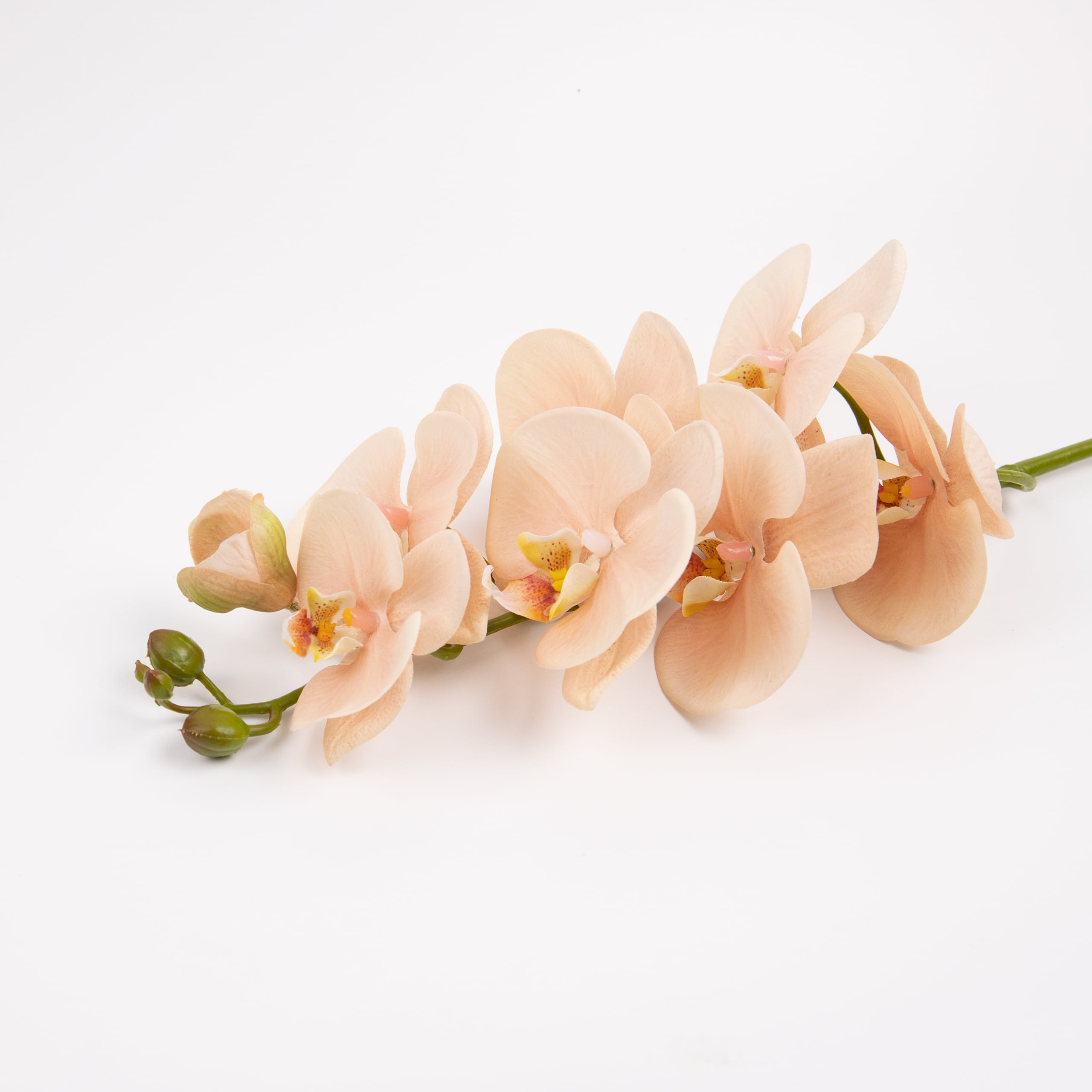 98cm Real-Touch Phalaenopsis Stem