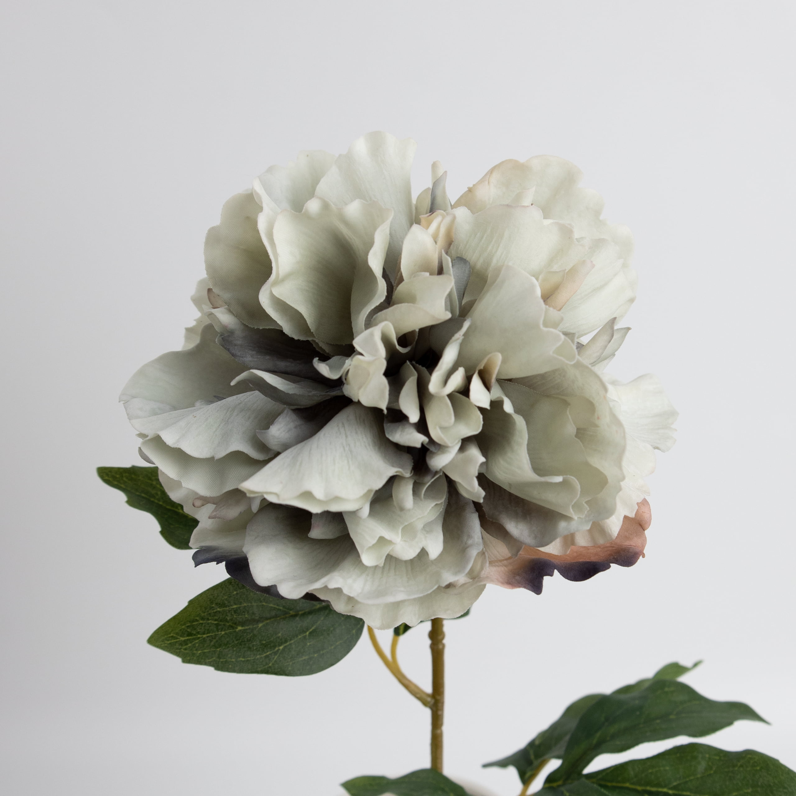 60cm Real-Touch Phoebe Peony Stem