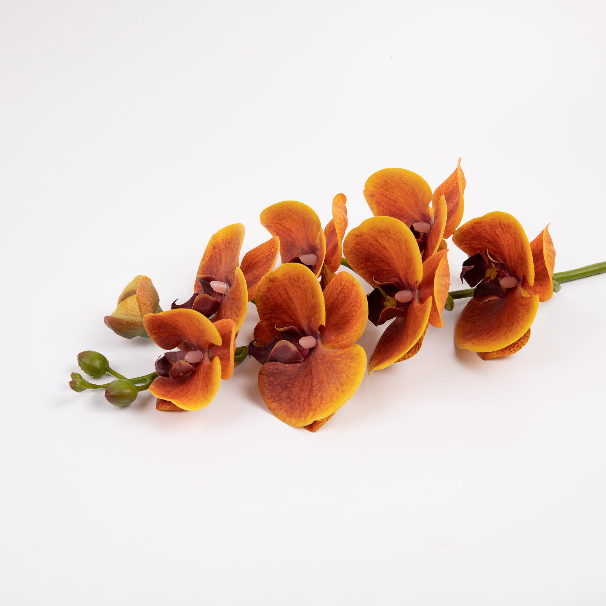 98cm Real-Touch Phalaenopsis Stem