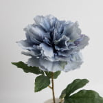 60cm Real-Touch Phoebe Peony Stem