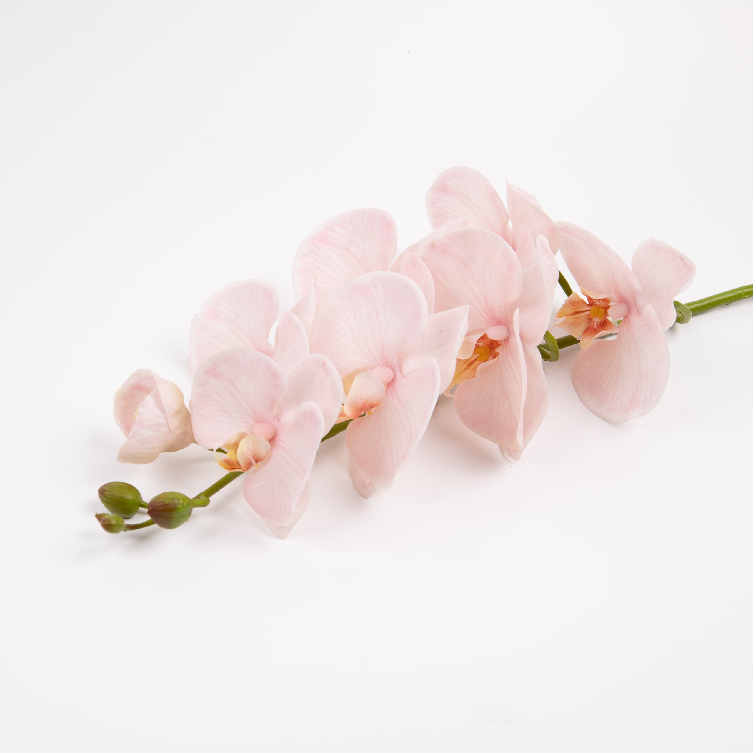 98cm Real-Touch Phalaenopsis Stem