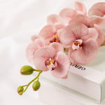 76cm Real-Touch Phalaenopsis Stem