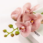 50cm Real-Touch Phalaenopsis Stem