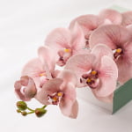 98cm Real-Touch Phalaenopsis Stem