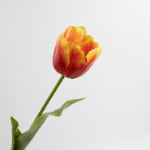 70cm Real-Touch Tulip Stem