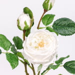 71cm Real-Touch 3 Heads Austin Rose Spray