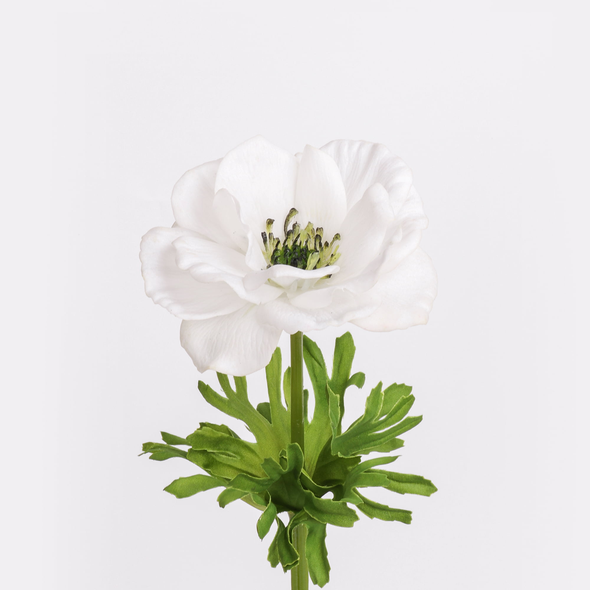 52cm Real-Touch Anemone Stem